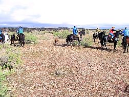 02_b09Mehagian.s-Desert-Sun~Barkley4.jpg