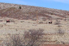 02216AZ40grounds15.jpg